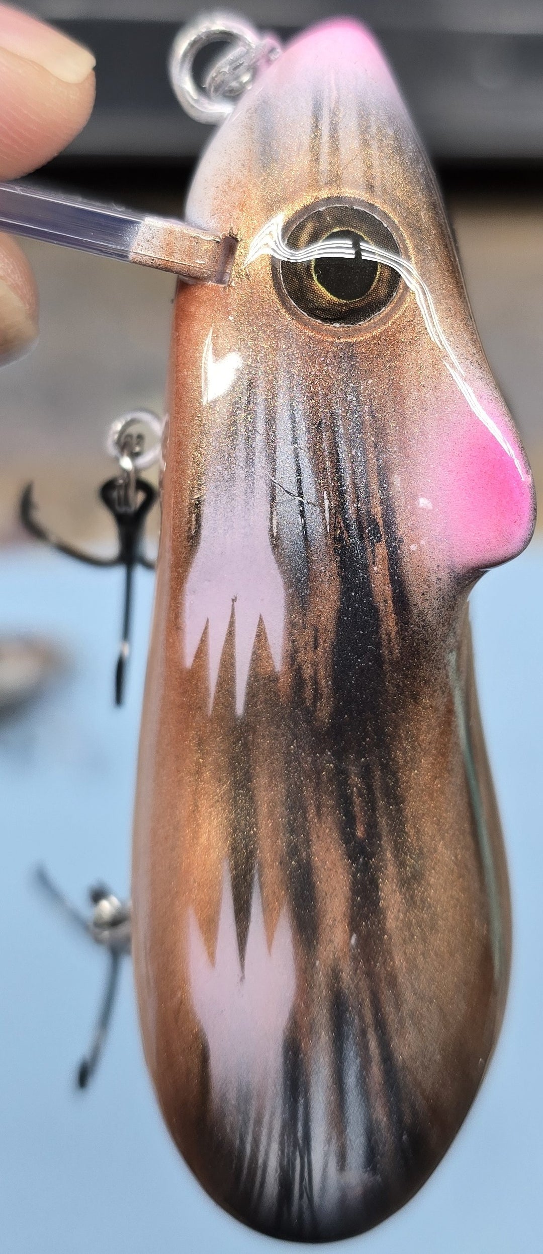 Sacpig & Little River Lure Lady - Natty B